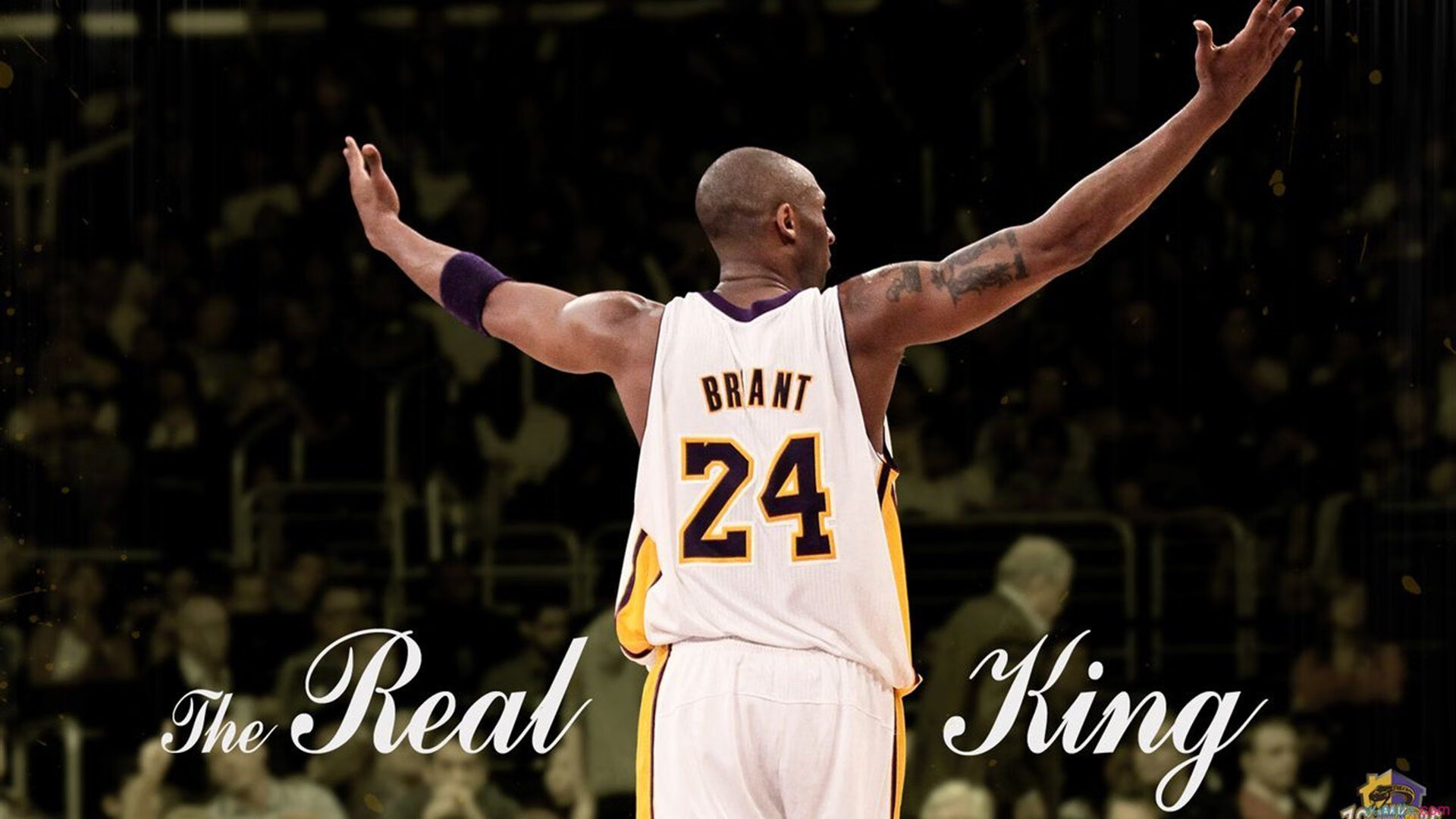 星际争霸2年度世界冠军争夺战精彩纷呈，星际争霸2总决赛2021